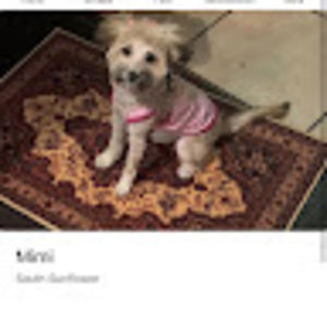 Meet your Posher, Derrik